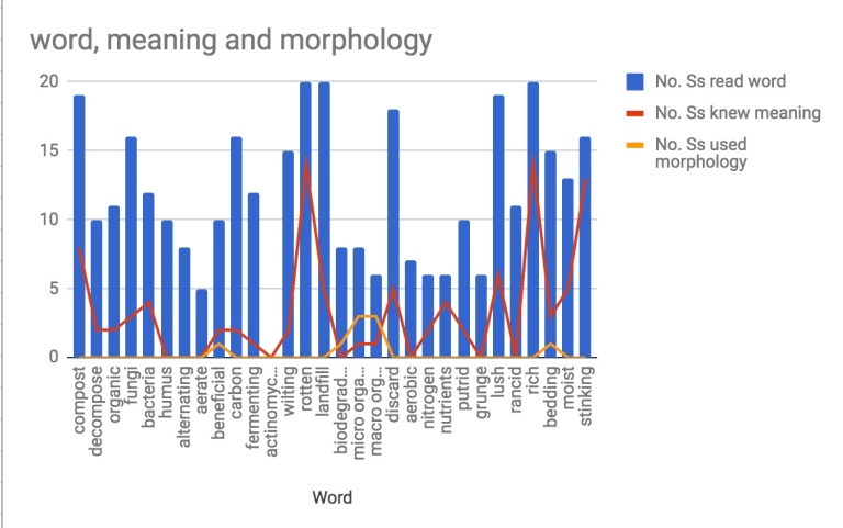 Word, meaning, morphology graph